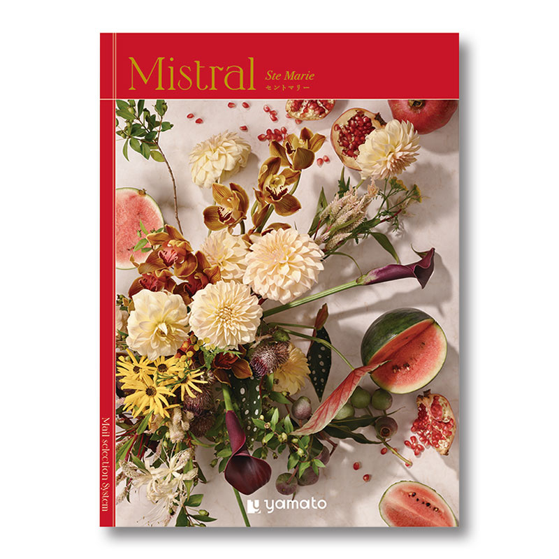 �ҥߥ��ȥ��ӥ���ȥޥ꡼