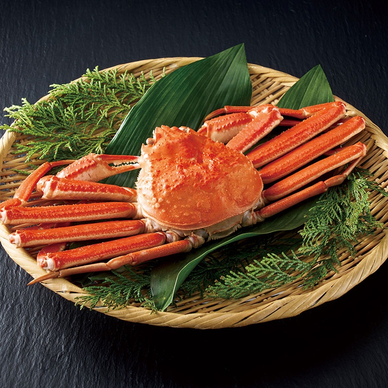 �ҥߥ��ȥ��ӥ���ȥޥ꡼