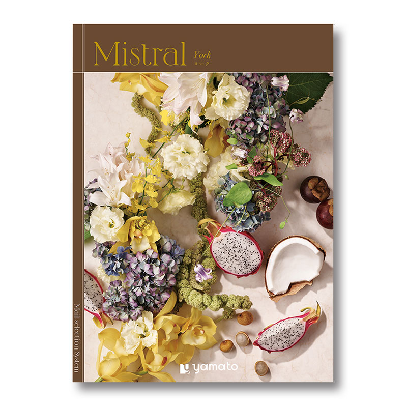 �ҥߥ��ȥ��ӥ衼��