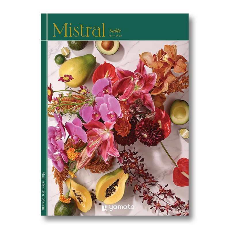 �ҥߥ��ȥ��ӥ����֥�