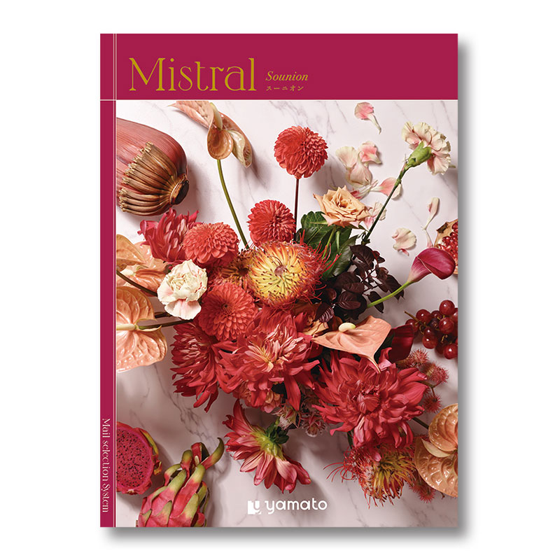 �ҥߥ��ȥ��ӥ����˥���