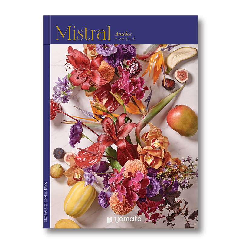 �ҥߥ��ȥ��ӥ���ƥ�����