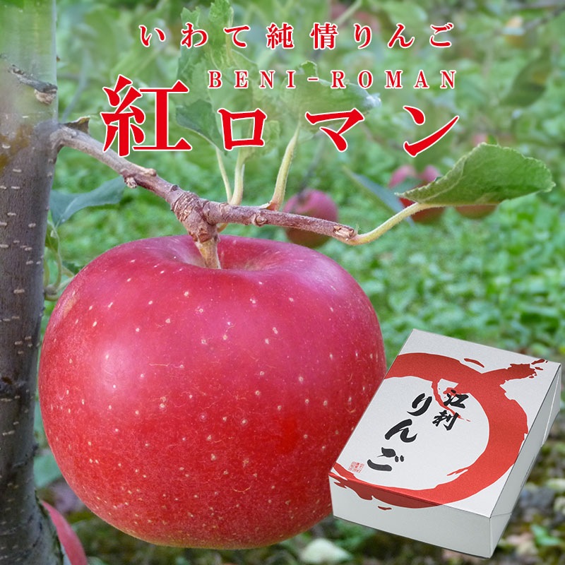 Ҥƽ󤴡JAɻ󤴡ȥޥ2.5kgȢ10 8ܤ缡ȯ