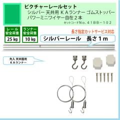 �ʰ� �ԥ����㡼�졼�륻�åȡ�C11������С��졼�룱��ŷ���ѡ��ˣ����ʡ������ॹ�ȥåѡ����ѥ�ߥ˥磻�䡼���ߣ��ܡʰ����ٽţ���kg�ˡ�