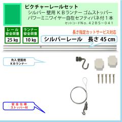 �ʰ� �ԥ����㡼�졼�륻�åȡ�C11������С��졼��45cm���ѡ��ˣ¥��ʡ������ॹ�ȥåѡ����ѥ�ߥ˥磻�䡼���ߥ��եƥ��Х��գ��ܡʰ����ٽţ���kg�ˡ�