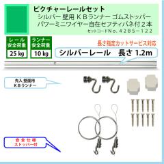 �ʰ� �ԥ����㡼�졼�륻�åȡ�C11������С��졼��1.2�����ѡ��ˣ¥��ʡ������ॹ�ȥåѡ����ѥ�ߥ˥磻�䡼���ߥ��եƥ��Х��գ��ܡʰ����ٽţ���kg�ˡ�