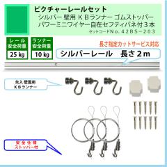 �ʰ� �ԥ����㡼�졼�륻�åȡ�C11������С��졼�룲�����ѡ��ˣ¥��ʡ������ॹ�ȥåѡ����ѥ�ߥ˥磻�䡼���ߥ��եƥ��Х��գ��ܡʰ����ٽţ���kg�ˡ�