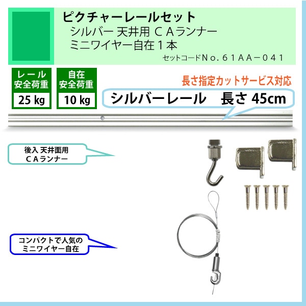 ɸ�൬�ʤΥԥ����㡼�졼�륻�åȡ�C11������С��졼��45cmŷ���ѡ��ã����ʡ����ߥ˥磻�䡼���ߣ��ܡʰ����ٽţ���kg�ˡ�