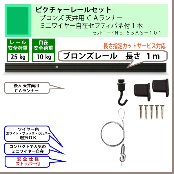 ɸ�൬�ʤΥԥ����㡼�졼�륻�åȡ�C11���֥��󥺥졼�룱��ŷ���ѡ��ã����ʡ����ߥ˥磻�䡼���ߎ��̎Î��ʎގ��գ��ܡʰ����ٽţ���kg�ˡ�