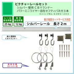 �����Ǥ����ʤΥԥ����㡼�졼�륻�åȡ�C11������С��졼�룲�����ѡ��ã£٥��ʡ����ѥ�ߥ˥磻�䡼���ߎ��̎Î��ʎގ��գ��ܡʰ����ٽ�12kg�ˡ�