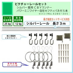 �����Ǥ����ʤΥԥ����㡼�졼�륻�åȡ�C11������С��졼�룳�����ѡ��ã£٥��ʡ����ѥ�ߥ˥磻�䡼���ߎ��̎Î��ʎގ��գ��ܡʰ����ٽ�12kg�ˡ�