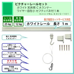 �۱�Ÿ���ѹ��ʥԥ����㡼�졼�륻�åȡ�C11���ۥ磻�ȥ졼�룱��ŷ���ѡ��ã����ʡ����磻�䡼���߾����̎Î��ʎގ��գ��ܡʰ����ٽ�12kg�ˡ�