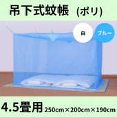 ���������Ģ�ʥݥꥨ���ƥ�ˡ��֥롼���� 4.5��