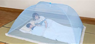 蚊帳 000000000096_fJGNLnA.jpg