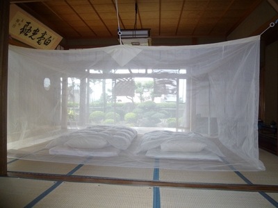 Ģʥʥ ֥롼꡼󡿥ۥ磻ȡܤ3