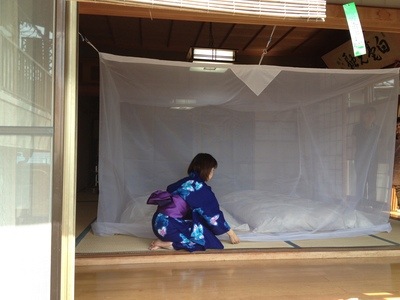 Ģʥʥ ֥롼꡼󡿥ۥ磻ȡܤ3