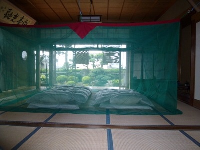 ���������Ģ�ʥʥ������ �֥롼�����꡼�󡿥ۥ磻�ȡ������ܤ�����4.5����