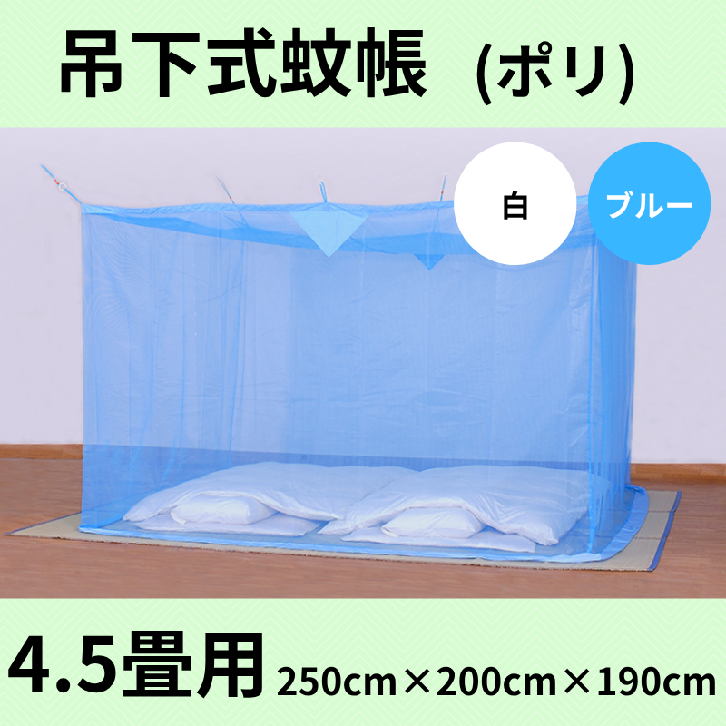 ���������Ģ�ʥݥꥨ���ƥ�ˡ��֥롼���� 4.5��