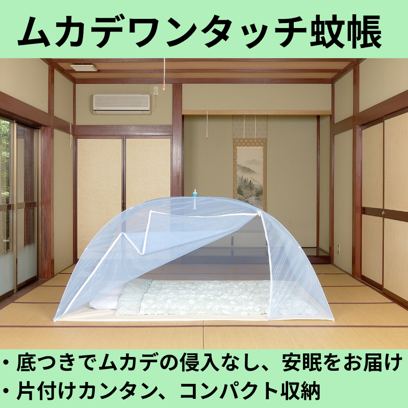 ������५���к��ѥ�󥿥å���Ģ�����󥰥�