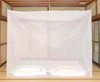 ŷǺࡡĢ֥롼꡼򡿤ܤ8