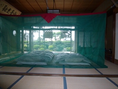 ŷǺࡡĢ֥롼꡼򡿤ܤ8