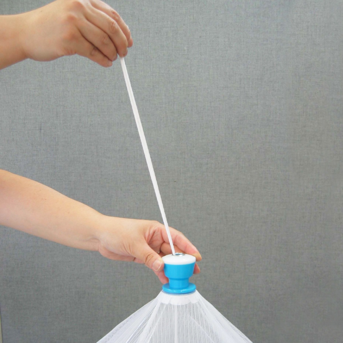 ��󥿥å�����Ѳ�Ģ�����㡡�򡿥֥롼