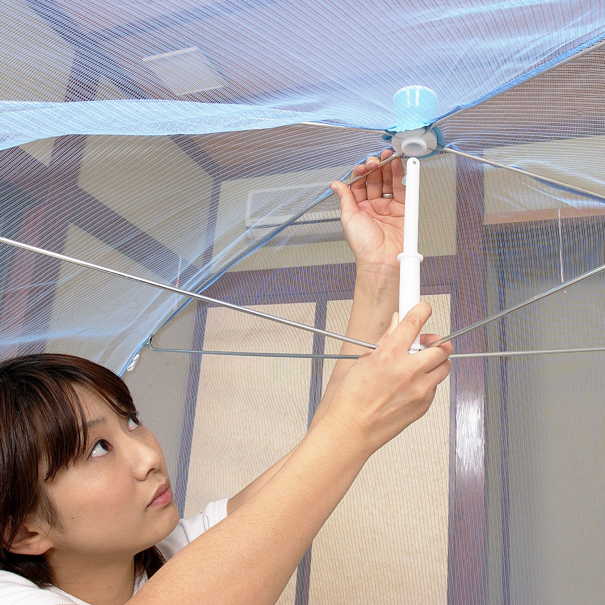 ��󥿥å�����Ѳ�Ģ�����㡡�򡿥֥롼