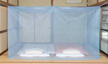 ŷ���Ǻࡡ�����Ģ���֥롼�����꡼����6��