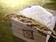 【かやもり農園産】新潟県産植酸栽培コシヒカリ「伝」5kg【精米】
