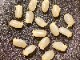 新潟産発芽玄米 600g【自社工場で製造】