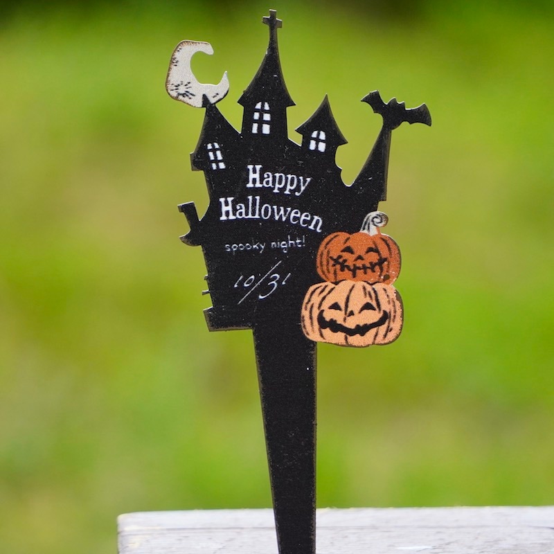 ハロウィンピック★パンプキンとお城!