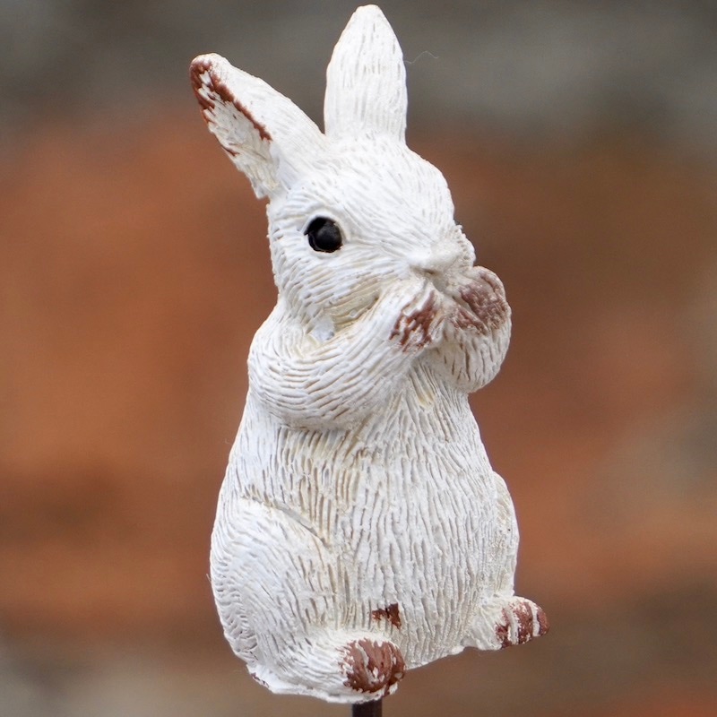 ガーデンピック「白いラビットピック♪」