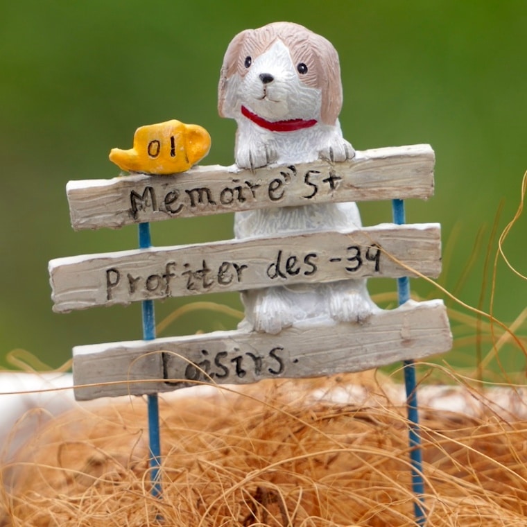 ガーデンピック「みーつけた!ワンちゃんピック」