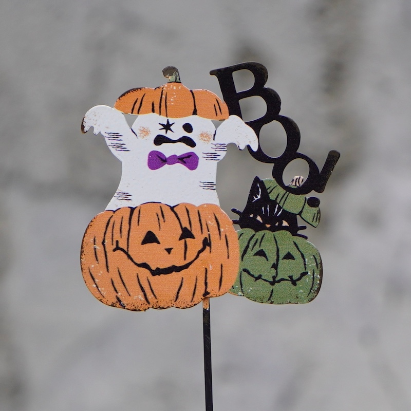 ハロウィンピック★びっくりした！？オバケと猫ちゃん