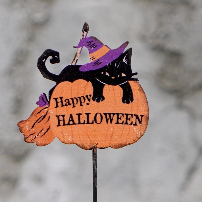 ハロウィンピック☆猫さんは魔女さん！？