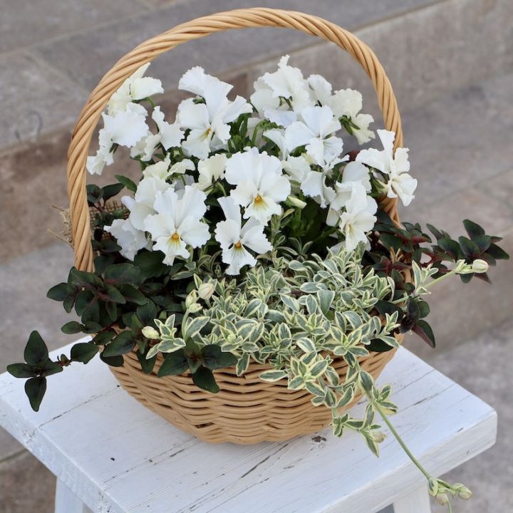 水で洗える☆ハンドバスケット・サークル・メープルS