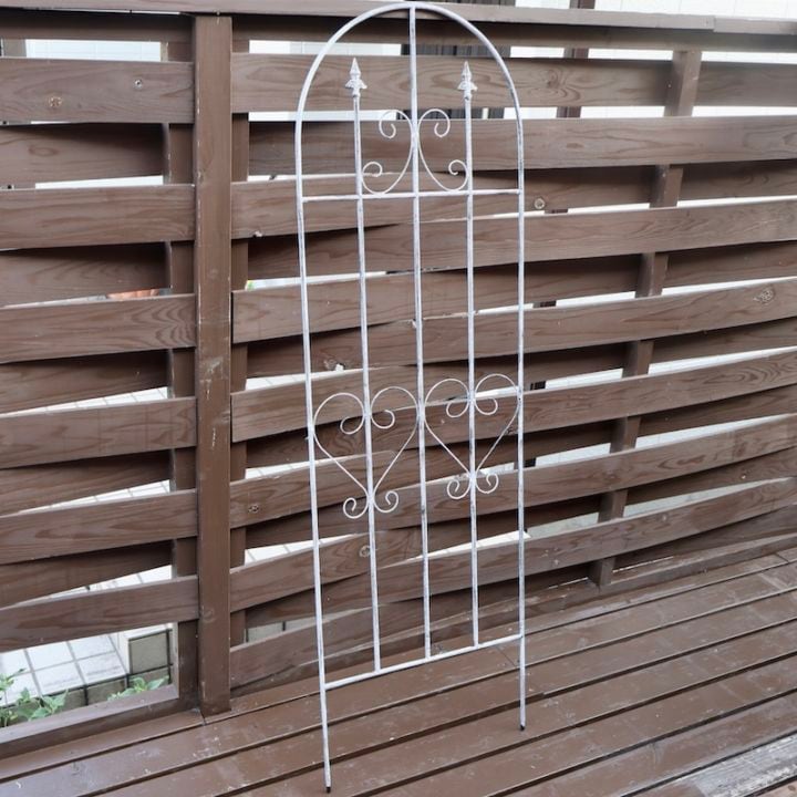 フェンストレリス◆幅約43cm・高さ約134cm【単独梱包・送料込み】【複数割引対象商品】