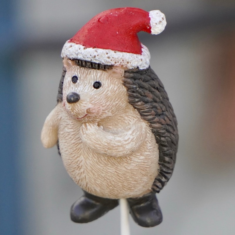 ガーデンピック「冬のお出かけハリネズミピック♪」