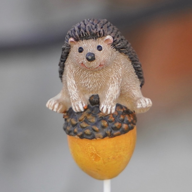 ガーデンピック「跳び箱中？のハリネズミピック♪」