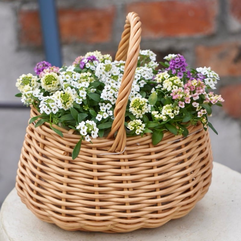 水で洗える☆ハンドバスケット・ミニ・メープル