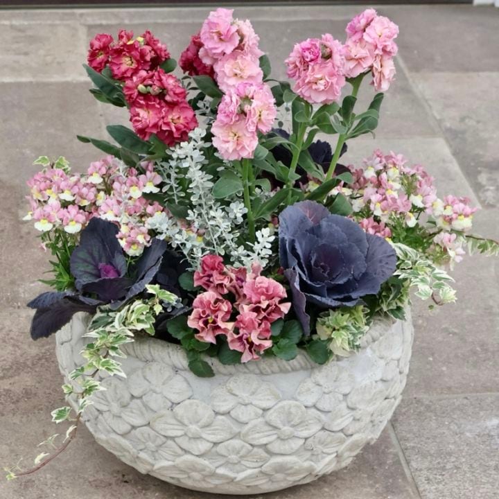 オリジナル花の寄せ植え｜ネット通販ショップ～風散歩～