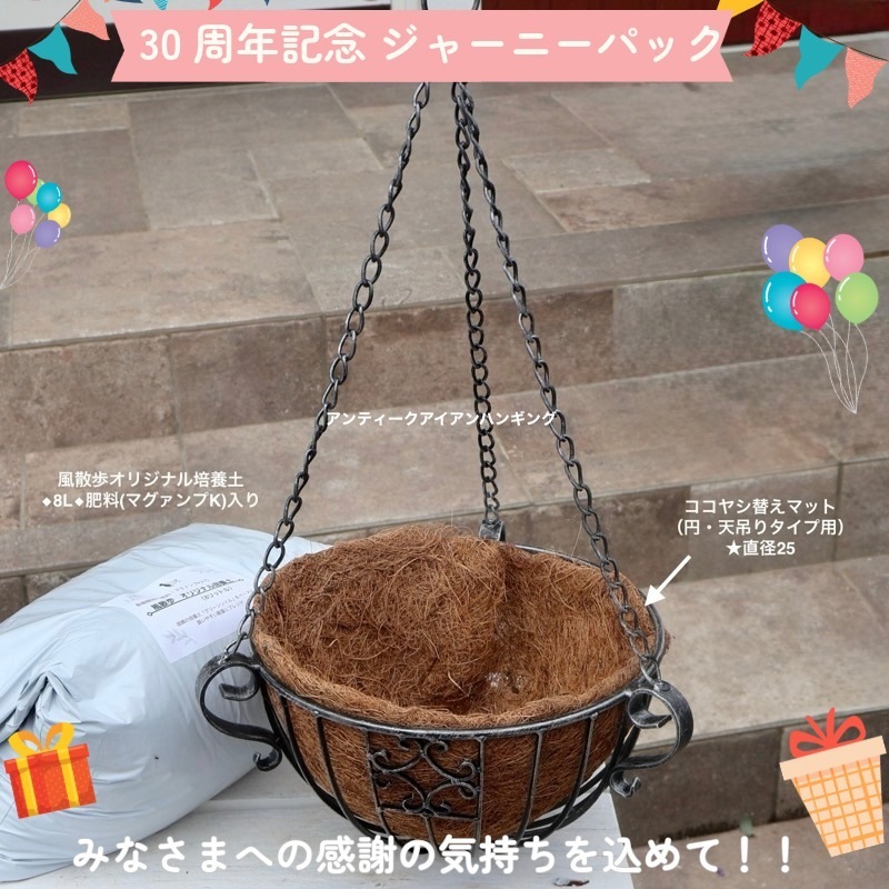 【30周年記念★ジャーニーパック】エレガンスハンギング3点セット