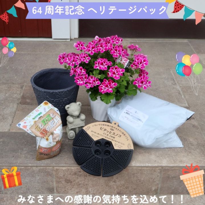【64周年記念★ヘリテージパック】 くまさんと迎える春♪(花1点&ガーデン用品5点)