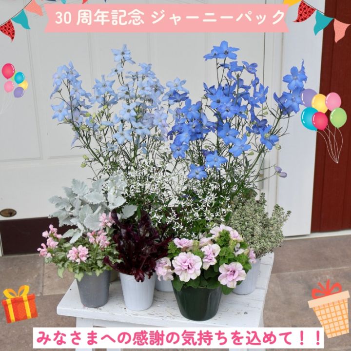 【30周年記念★ジャーニーパック】花苗No.429セット(さくらもち他8株セット)