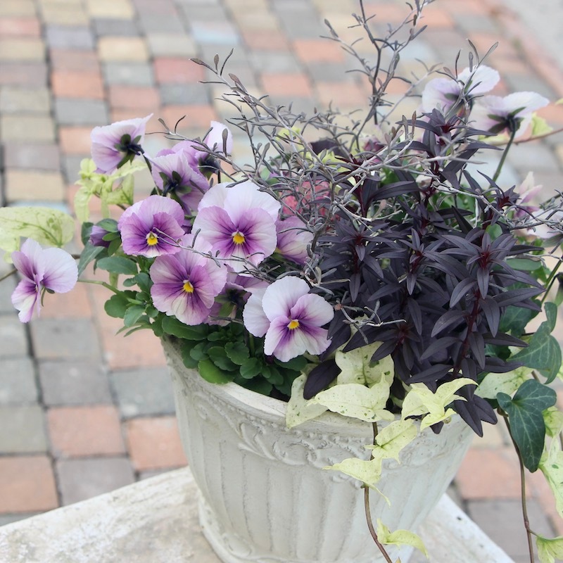 再値下げ❗️陶器製花鉢 紫と白の花 再値下げ❗️陶器製花鉢 紫と白の花