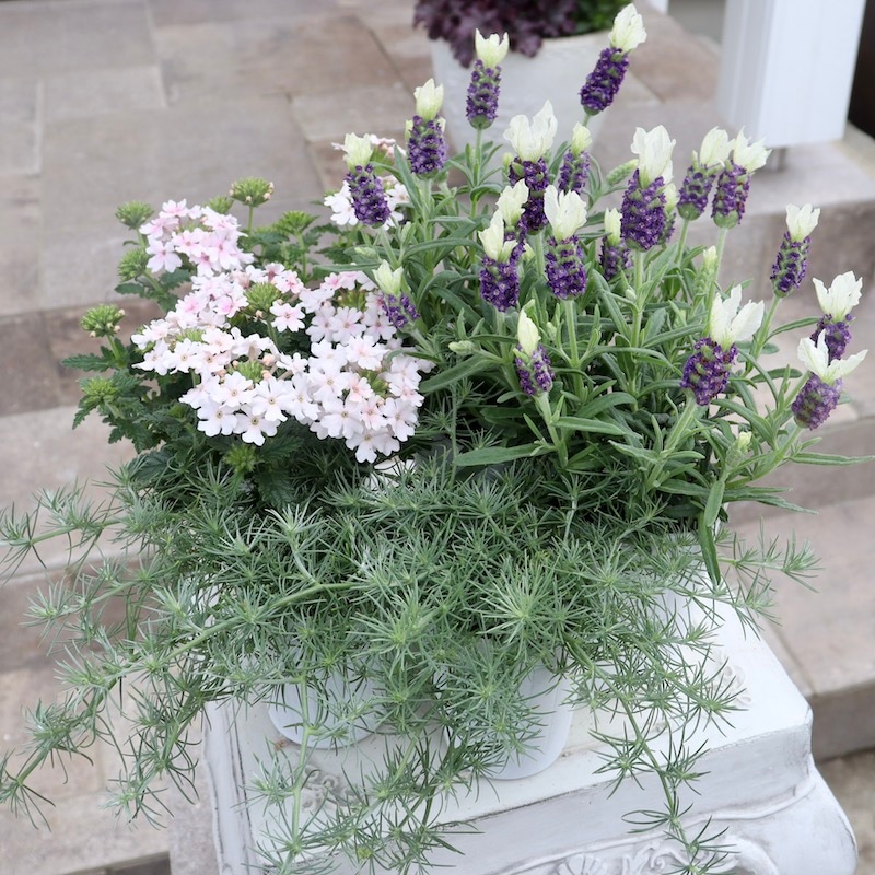 21_000000007304.jpg?1712236911