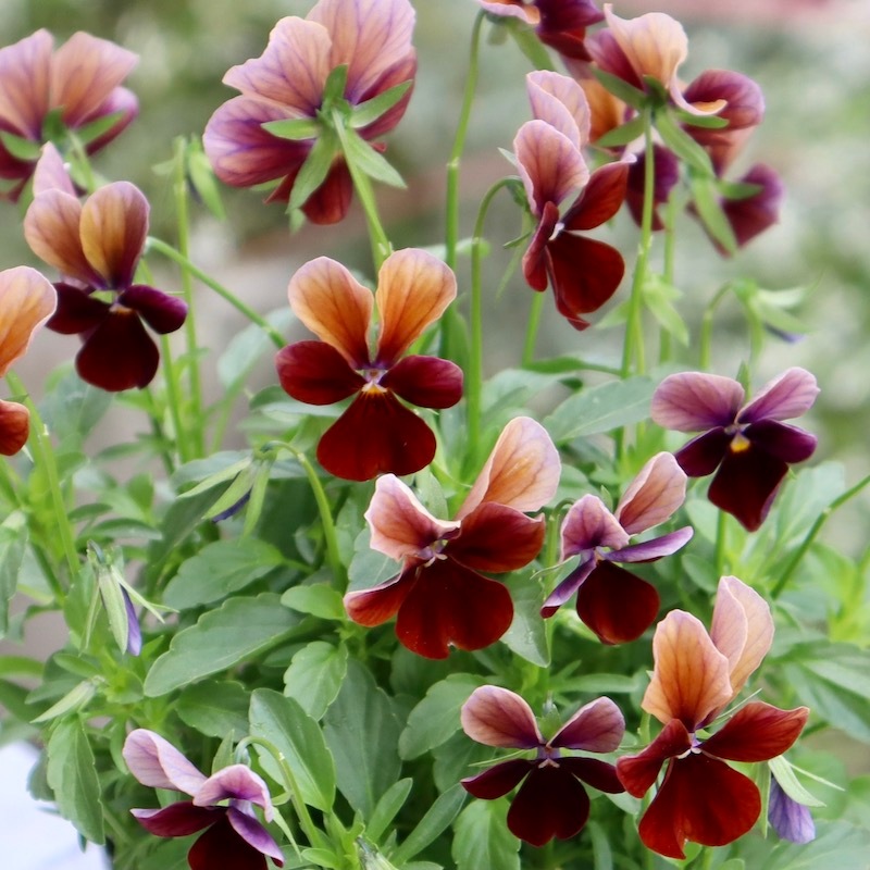 7_000000006406.jpg?1699889620