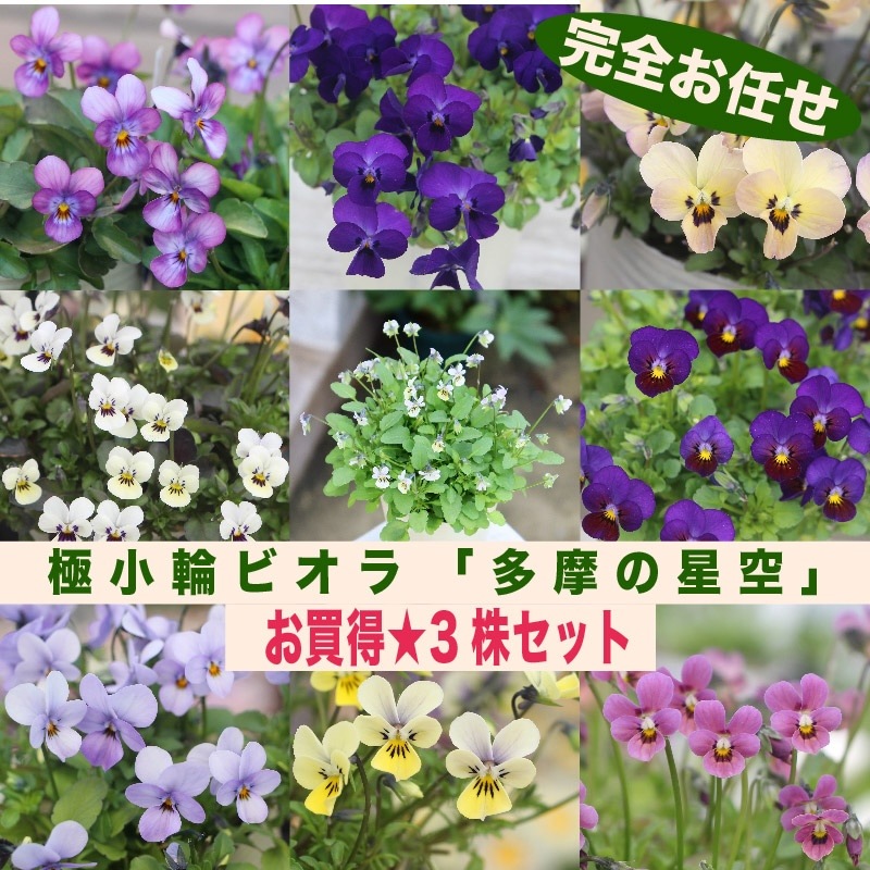 1_000000007812.jpg?1730176590