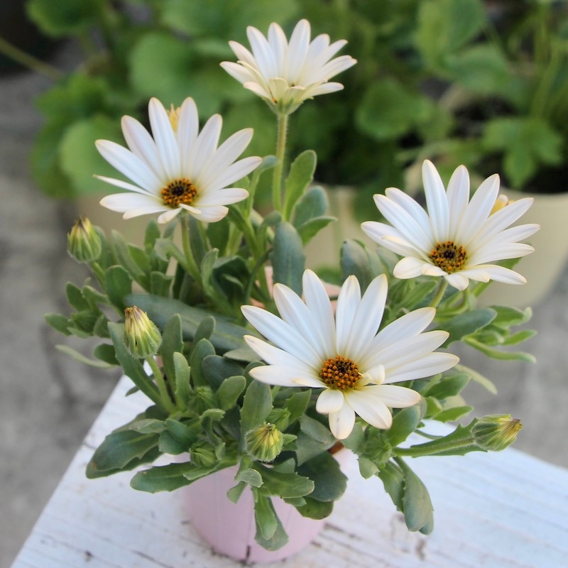 15_000000005717.jpg?1677237594