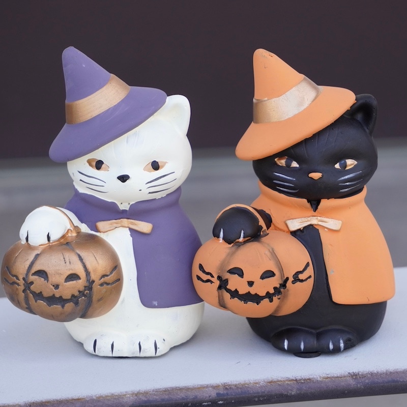 Hallowe'enパンプキンを持った白猫さん